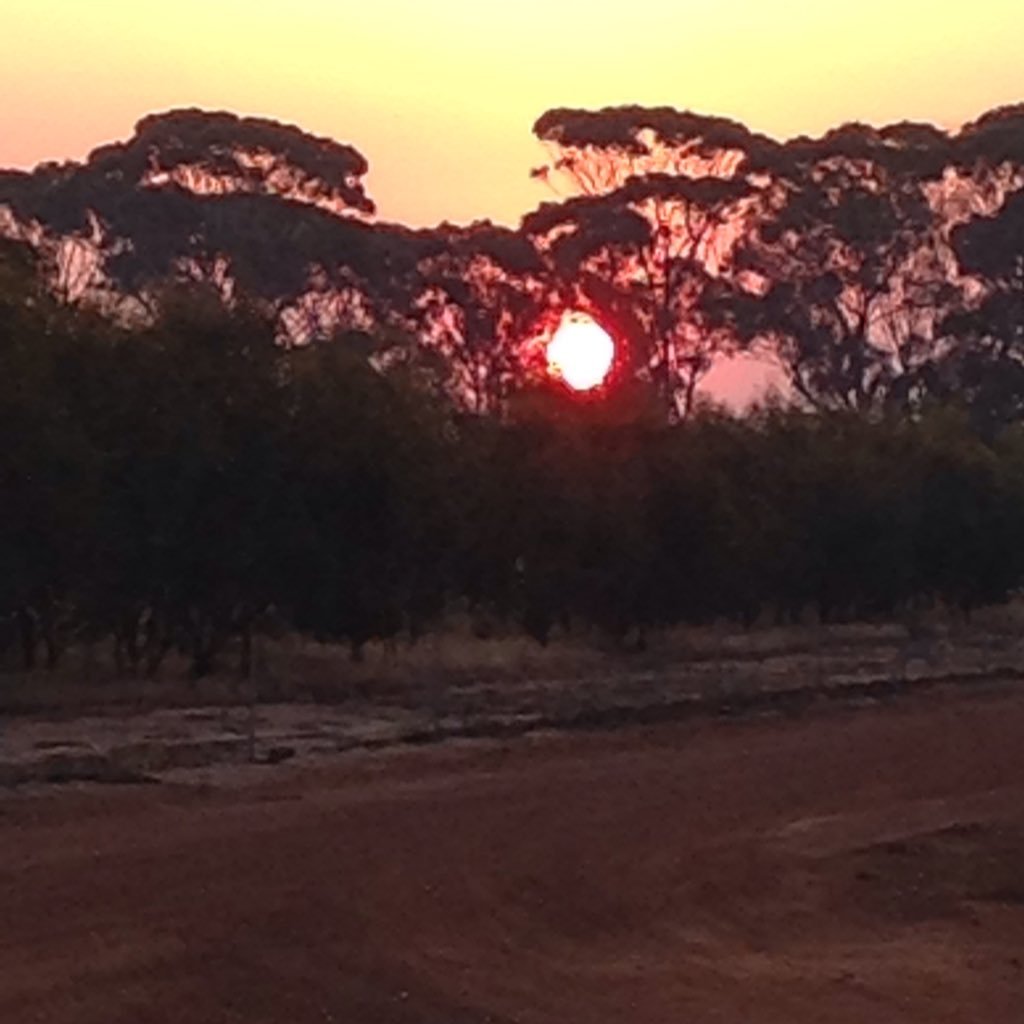 Born again broad acre farmer enjoying the challenges of grain production and family farming life !.