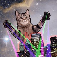 Lazer Cat(@Cat_Lazer) 's Twitter Profileg