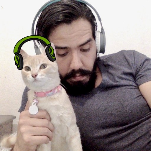 Jericallo, pocos followers, músico frustrado, uso tuister para quejarme de todo, subir cosas de mis gatos y ver el mundo arder. Un vez sali en @eldeforma