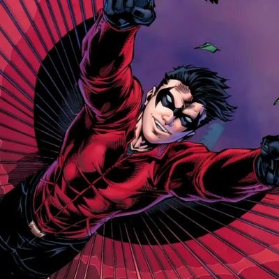 I'm not your friend. I'm Red Robin and I'm going to kick your ass. || Third Robin || Master Detective || Leader of Teen Titans || #DCTeamTR #BatFamily