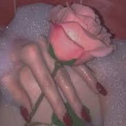 babybonc's profile picture. uwu

deadass just an @ holder