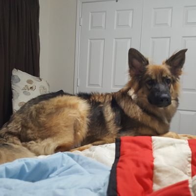 lmckinley104's profile picture. 