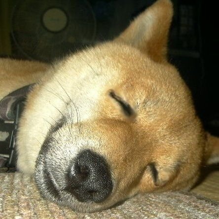 あすのさんのプロフィール画像