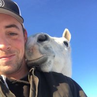 Danny Ringuette (@ringuetteracing) 's Twitter Profile