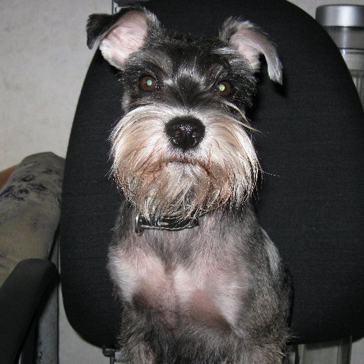 letov_2013's profile picture. 