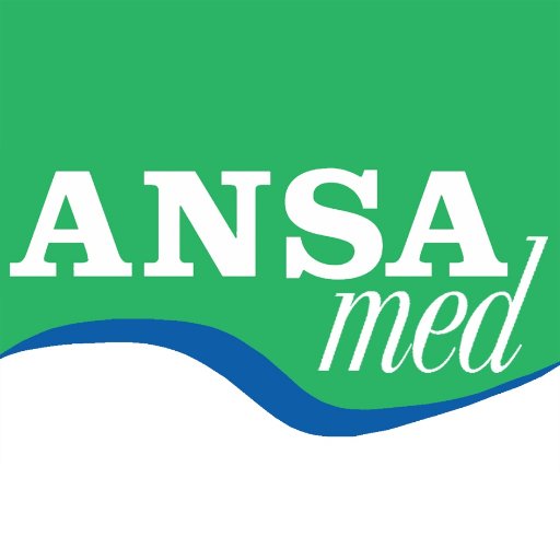 ANSA's news service for the Mediterranean, in Italian, English and Arabic. Il servizio dell'ANSA per il Mediterraneo, in italiano, inglese ed arabo.