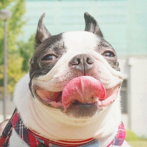 maraiooooon4's profile picture. エンジニア・起業家。学生時代に２つのWEBサービスを立ち上げ売却しました。今はQsyというクローズドな女性起業家限定のコミュニティーを運営しつつ、新規WEBサービス立ち上げにむけて活動中。 FX・仮想通貨も趣味でやってます！