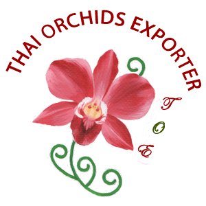 We are one of Thailand's leading exporters of cut flowers and your one stop shop for premium quality Thai Orchids!  #Orchids #Orchidsexporter #Orchidslovers