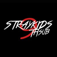 Stray Kids THsub (@straykidsthsub) 's Twitter Profile