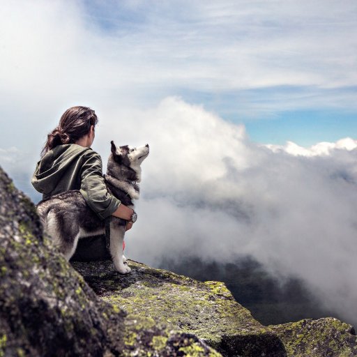 ksanchez021's profile picture. Content Editor for https://t.co/BZJnBzCbq7, at your service. Bringing you daily tech content and be updated.