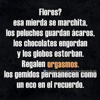 Carlos (@d1fb3517d5ec4e3) 's Twitter Profile