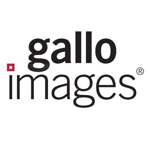 Gallo_Editorial Profile Picture