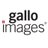 Gallo_Editorial