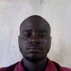 lekanmakanju1's profile image