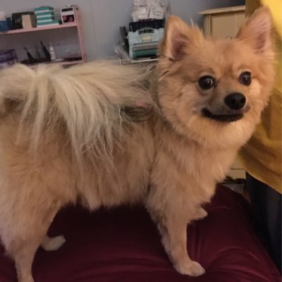 Gracie3438's profile picture. Fibromyalgia, CFS/ME, Neurocardiogenic Syncope, CPP advocate, Christian, Love to make jewelry and practice pilates.  Oh yeah, and very outspoken...