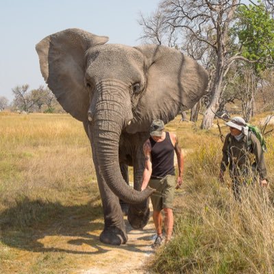 MarkMoore4001's profile picture. 