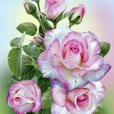 Well34281130's profile picture. 