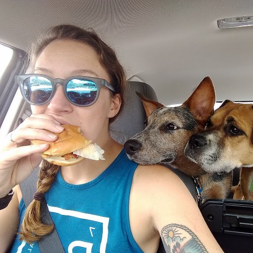 lilylouise13's profile picture. I am a wannabe writer, taller than the average female, major procrastinator, crossfitter - CF-L1, dog-mom, and this is where I say random things.