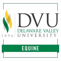 DelVal Equine (@delvalequine) 's Twitter Profile