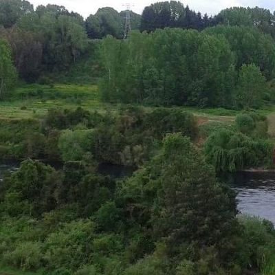 micadelabilbao's profile picture. 