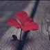 ⚜️نوره عبدالله⚜️ (@vip_sa_9) Twitter profile photo ⚜️نوره عبدالله⚜️ (@vip_sa_9) Twitter profile photo