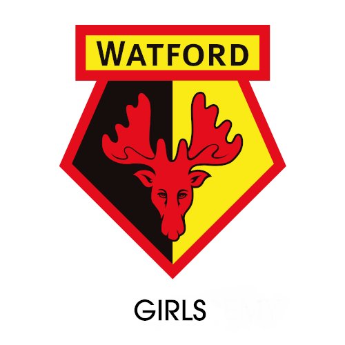 wfc_girls Profile Picture