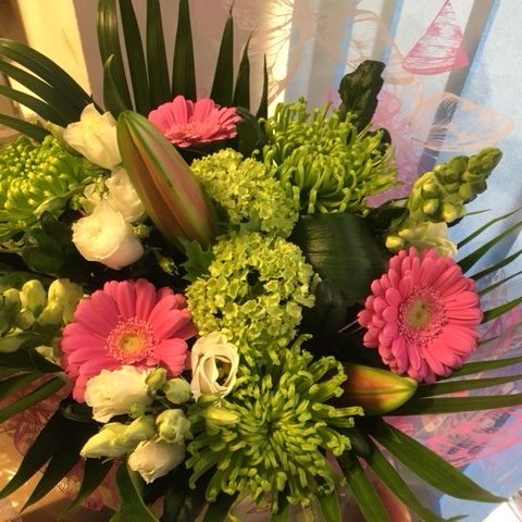 JaniceGullon's profile picture. Passionate about Quality Teaching and Learning. Please note: all views are my own!