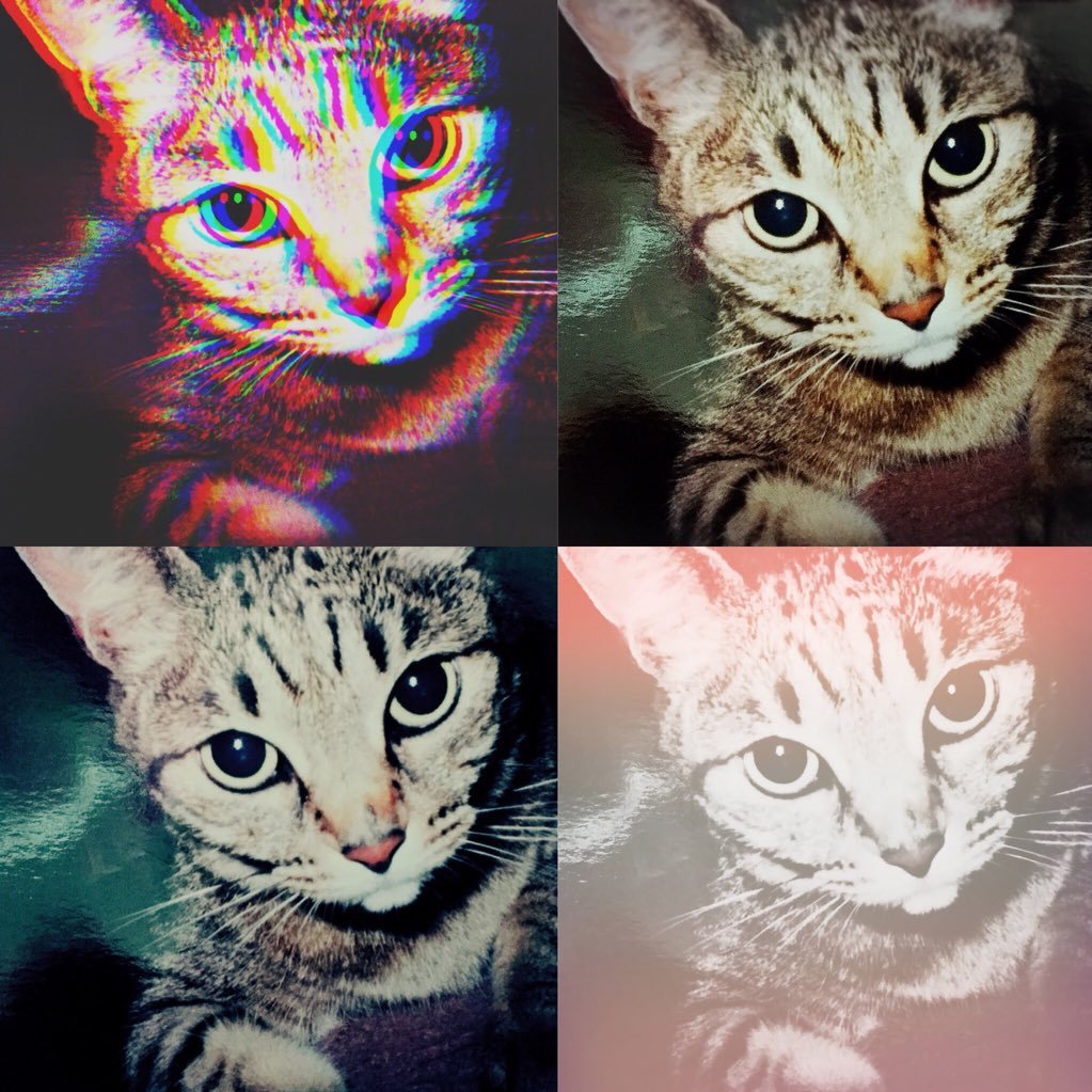 marble8323's profile picture. Tiramisu-* Love ☆ * The future with SungMo * forever..) / NO♡ 77-1X3-00 《Mr. NO♡》