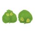 Sophien Kamoun (@kamounlab) Twitter profile photo Sophien Kamoun (@kamounlab) Twitter profile photo