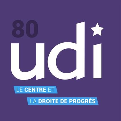 L'Union des Démocrates et Indépendants dans la Somme. Co-présidents : Stéphane Demilly et Pascal Demarthe. Compte officiel