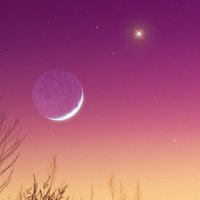 Mario Qualiarella (@marioqualiarel1) 's Twitter Profile