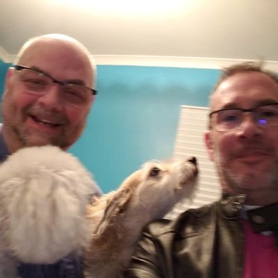 animal posts and 80s punk rock friends are the best.