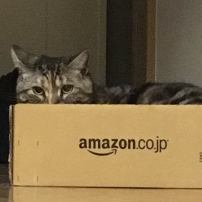 yazayu1230's profile picture. rom