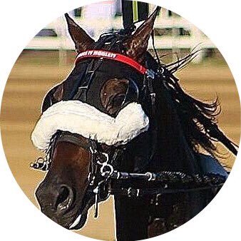 Love to watch Harness Racing. Like going to different racetracks. Sports Fan - Football Basketball Baseball Nascar. Big Harness Racing Fan, the best.