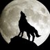 WeTheWolf (@wethewolf_mixer) Twitter profile photo WeTheWolf (@wethewolf_mixer) Twitter profile photo