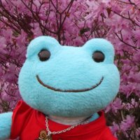 もに🐸ベソくんも一緒💕 (@miya19761215) 's Twitter Profile Photo