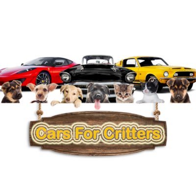 This is a charity car show event that will be held alongside The 24th Annual Cause For Paws of The Humane Society of Wicomico County