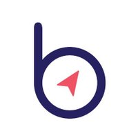 BindiMaps (@bindimaps_) Twitter profile photo