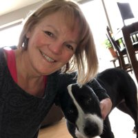 barbara ozminkowski (@wahooz) 's Twitter Profile