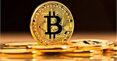 MazCrypto's profile picture. new to this!