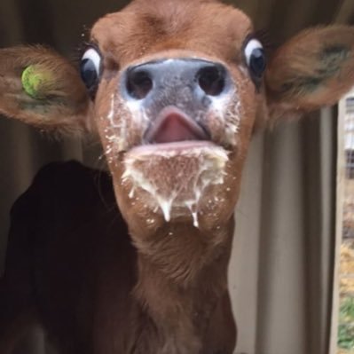 babyGigieee's profile picture. Hi