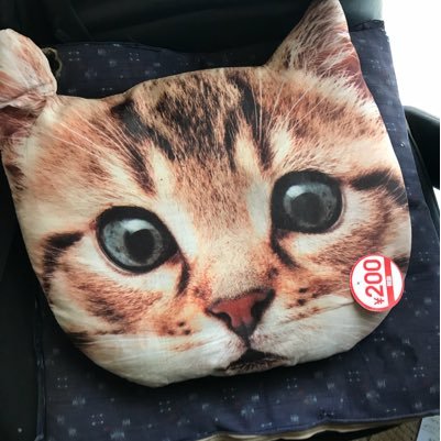 muktake_ken's profile picture. 動物 マンガ 科学 芸術 経済 笑い アニメ ゲーム キュート FUN