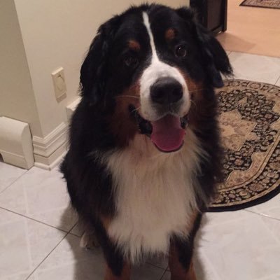 Maw0832's profile picture. 