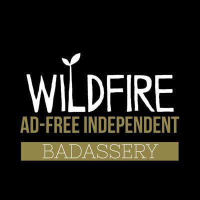 Where young survivors & fighters tell their stories. All stages welcome. Ad-free, independent badassery. 🔥Eat, play, slay. 🔥 #breastcancer