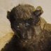 Estraza Arkonev (@insaneprobably) Twitter profile photo Estraza Arkonev (@insaneprobably) Twitter profile photo