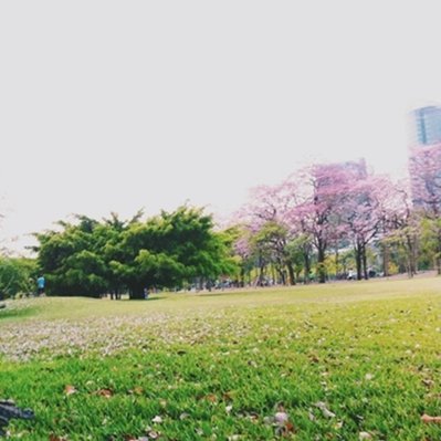 aoomie's profile picture. 민호💙 ✘ 기범💗 • 샤이니💚