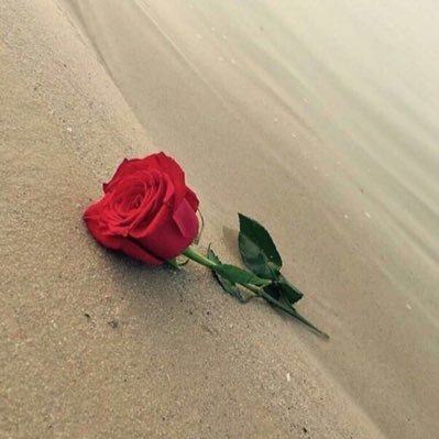 ډڼيٱ مَ بھٓـہـٱٱ .. آإڼٺ .. مَ ٱبيييھٓـہـٱٱإ