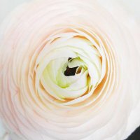 울새(ulsae) (@ulsae1995) 's Twitter Profile Photo 울새(ulsae) (@ulsae1995) 's Twitter Profile Photo