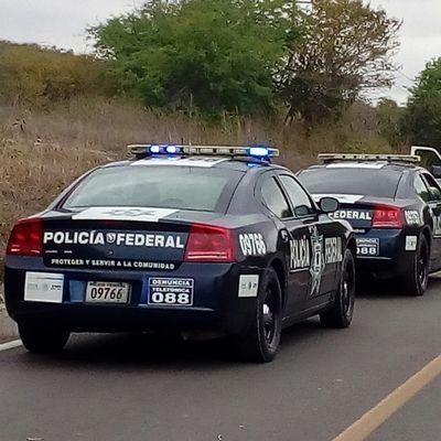 CristbalMendo10's profile picture. 