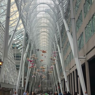 ALEARAVENA1's profile picture. Ser humano ante todo...